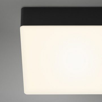 Briloner Leuchten LED Deckenleuchte 7071-015, LED fest verbaut, Warmweiß, schwarz, LED, Deckenlampe