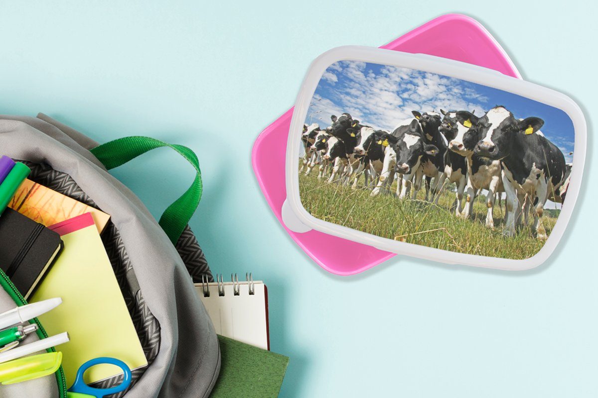 Mädchen, MuchoWow - Brotbox Kühe Kunststoff rosa Tiere, Lunchbox Wiese - Snackbox, Kunststoff, Erwachsene, Kinder, für (2-tlg), Gras - Brotdose