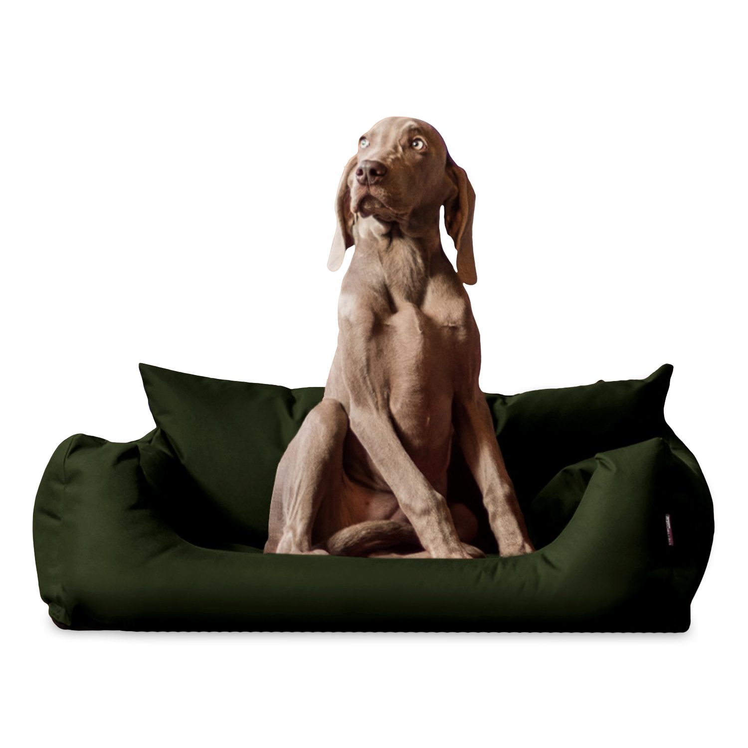 tierlando® Tierbett NEMO Hundebett Hundesofa S günstig online kaufen