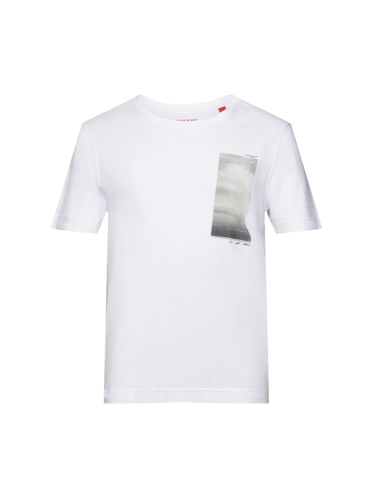 Esprit T-Shirt T-Shirt aus Bio-Baumwolle mit Print (1-tlg) WHITE