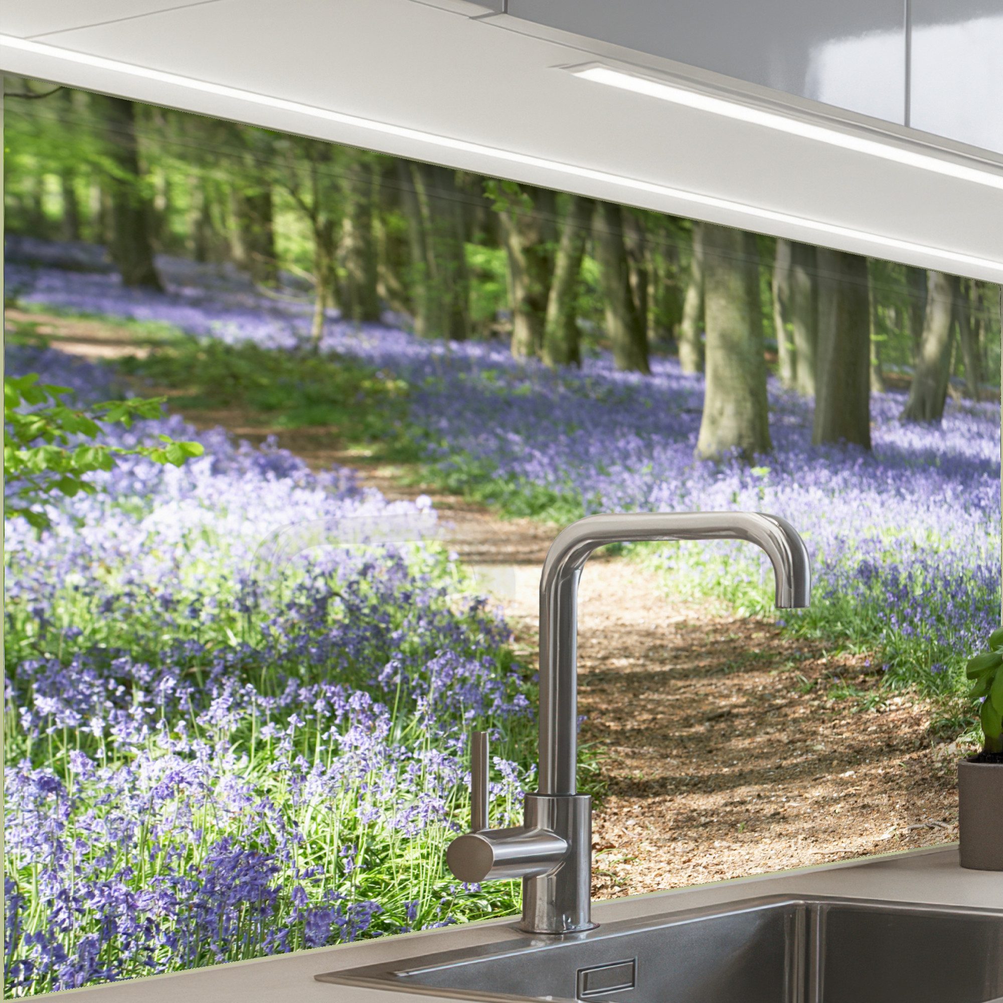 Wald – Pad – Blumen – Lila – Grün – Natur