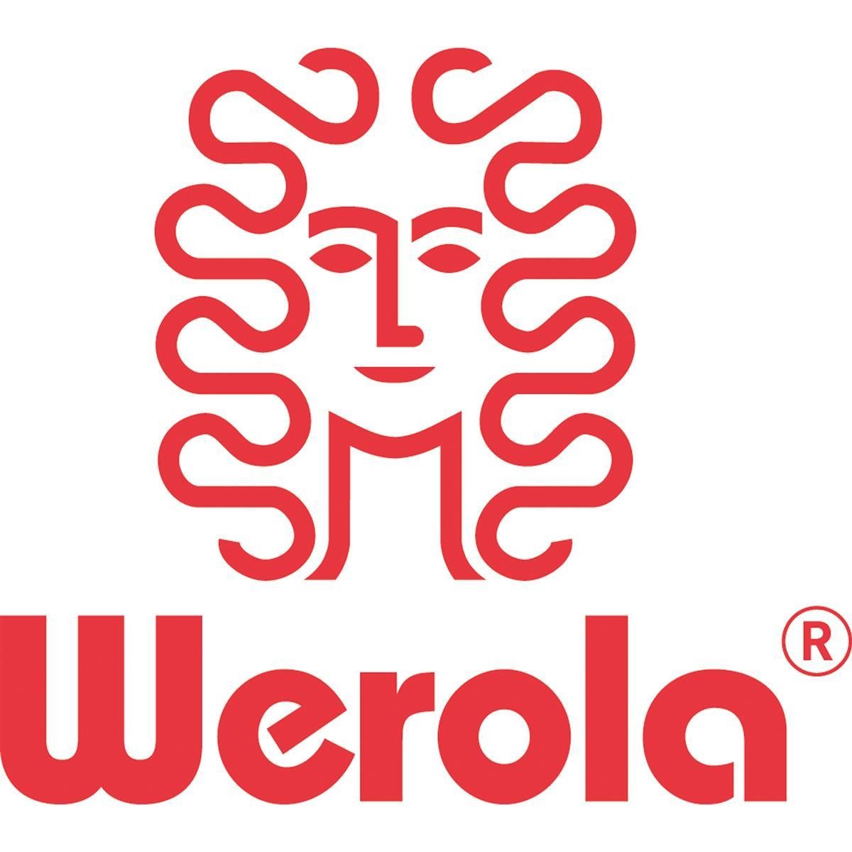 Staufen Seidenpapier Werola Seidenpapier 794079000 20g 50x70cm 26Bl. sortiert