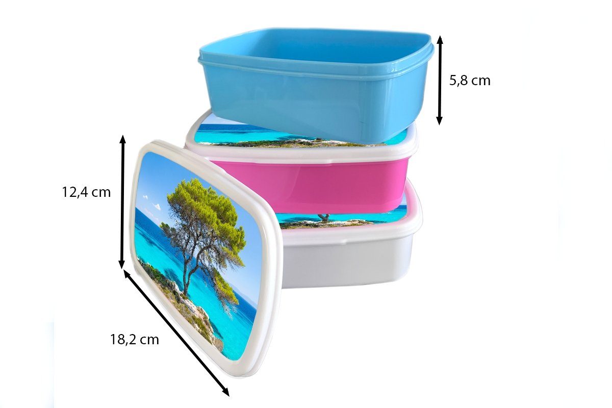 MuchoWow Lunchbox Baum Erwachsene, - (2-tlg), Brotbox Kinder, Meer Mädchen, für Brotdose - Kunststoff, Tropisch Sommer, - rosa Snackbox, Kunststoff