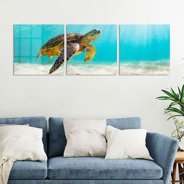 DEQORI Glasbild 'Schildkröte unter Wasser', 'Schildkröte unter Wasser', Glas Wandbild Bild schwebend modern