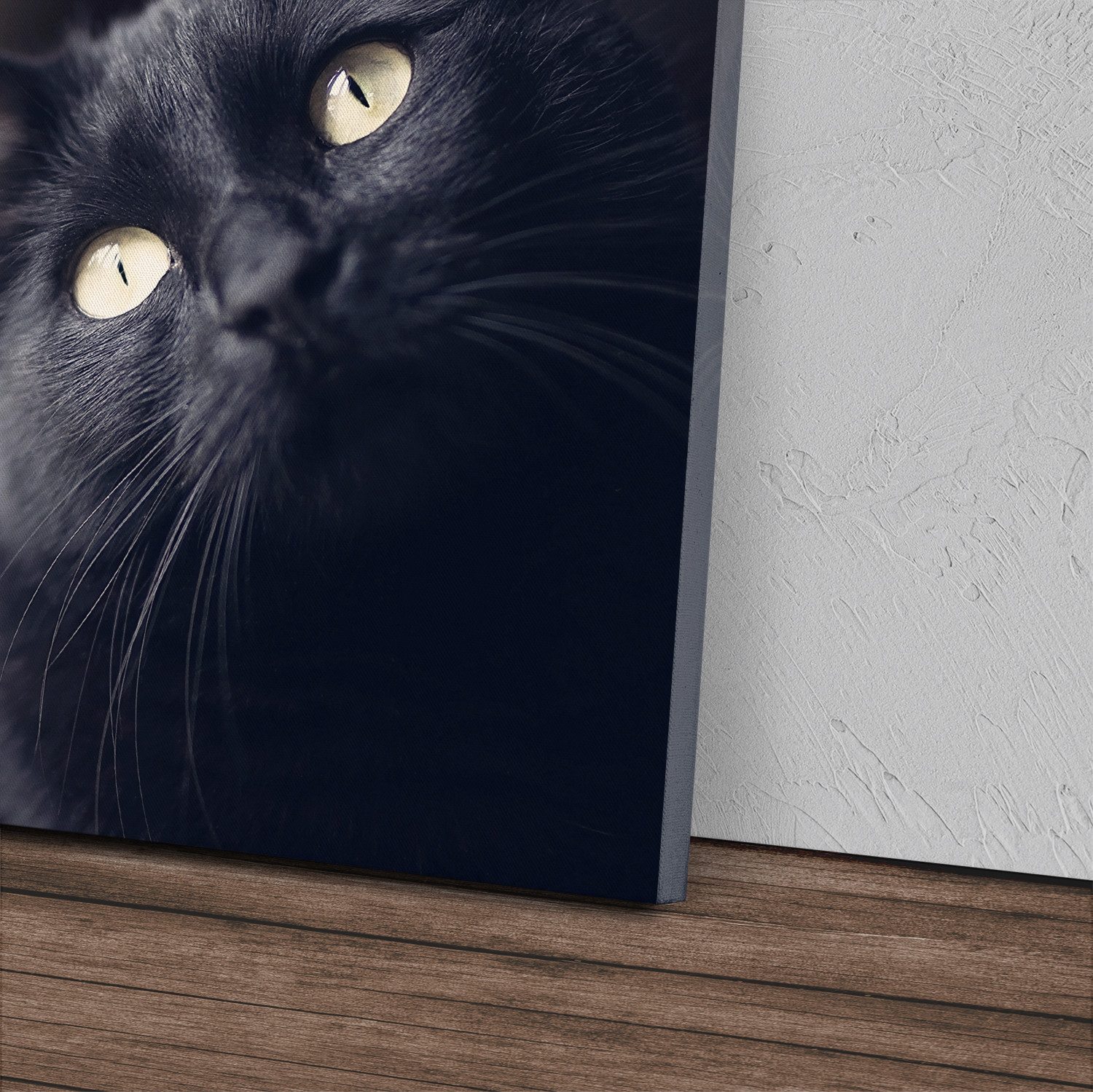 Sinus Art Leinwandbild 120x80cm Wandbild auf Leinwand Schwarze Katze Hauska günstig online kaufen