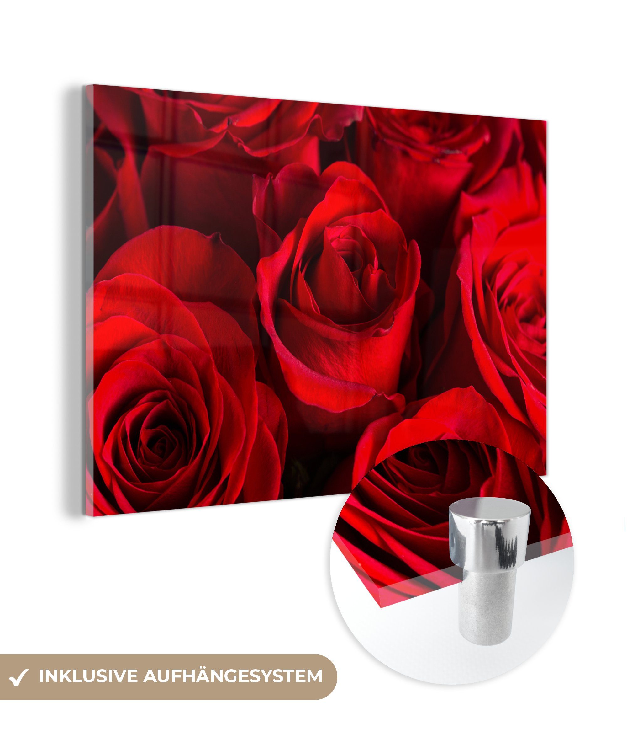 MuchoWow Acrylglasbild Rosen - Rot - Blume, (1 St), Acrylglasbilder Wohnzimmer & Schlafzimmer