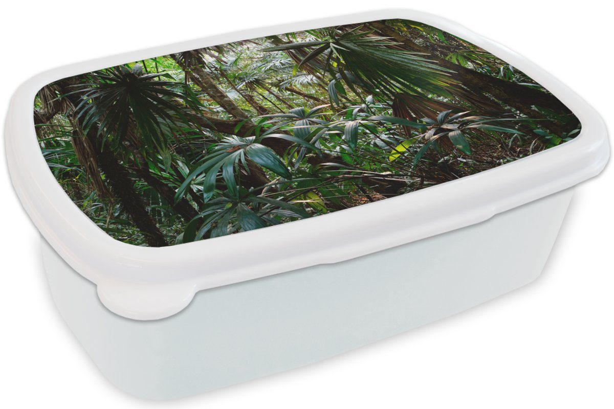 Brotdose, für Kunststoff, und Regenwald, für Mädchen Lunchbox Brotbox im MuchoWow Pflanzen Erwachsene, weiß Jungs Kinder und (2-tlg),