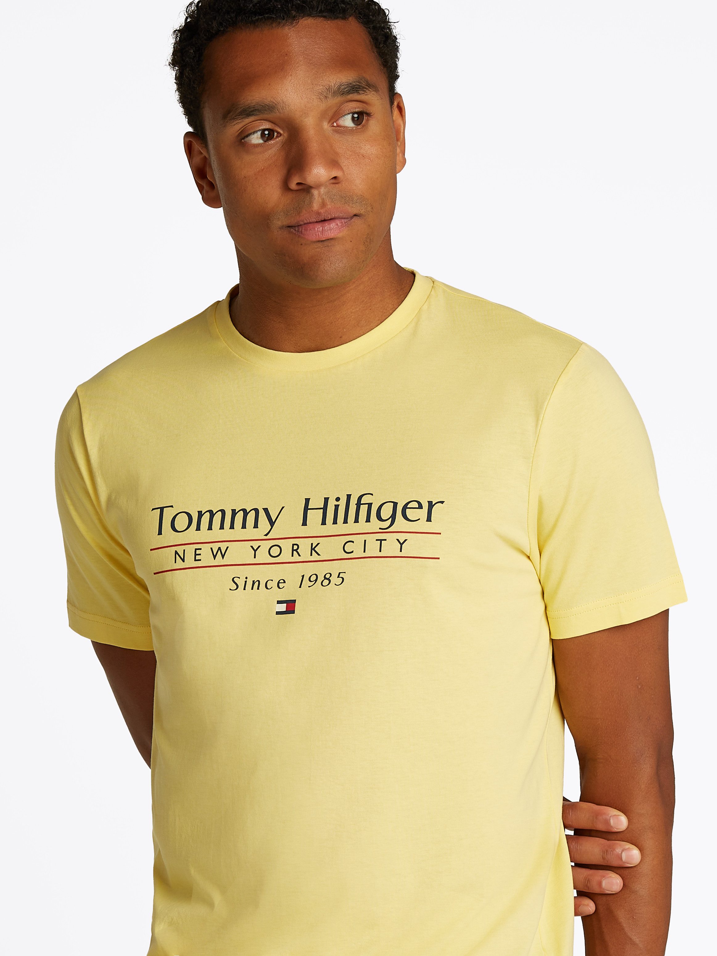 Tommy Hilfiger T-Shirt HILFIGER CENTER STACK günstig online kaufen