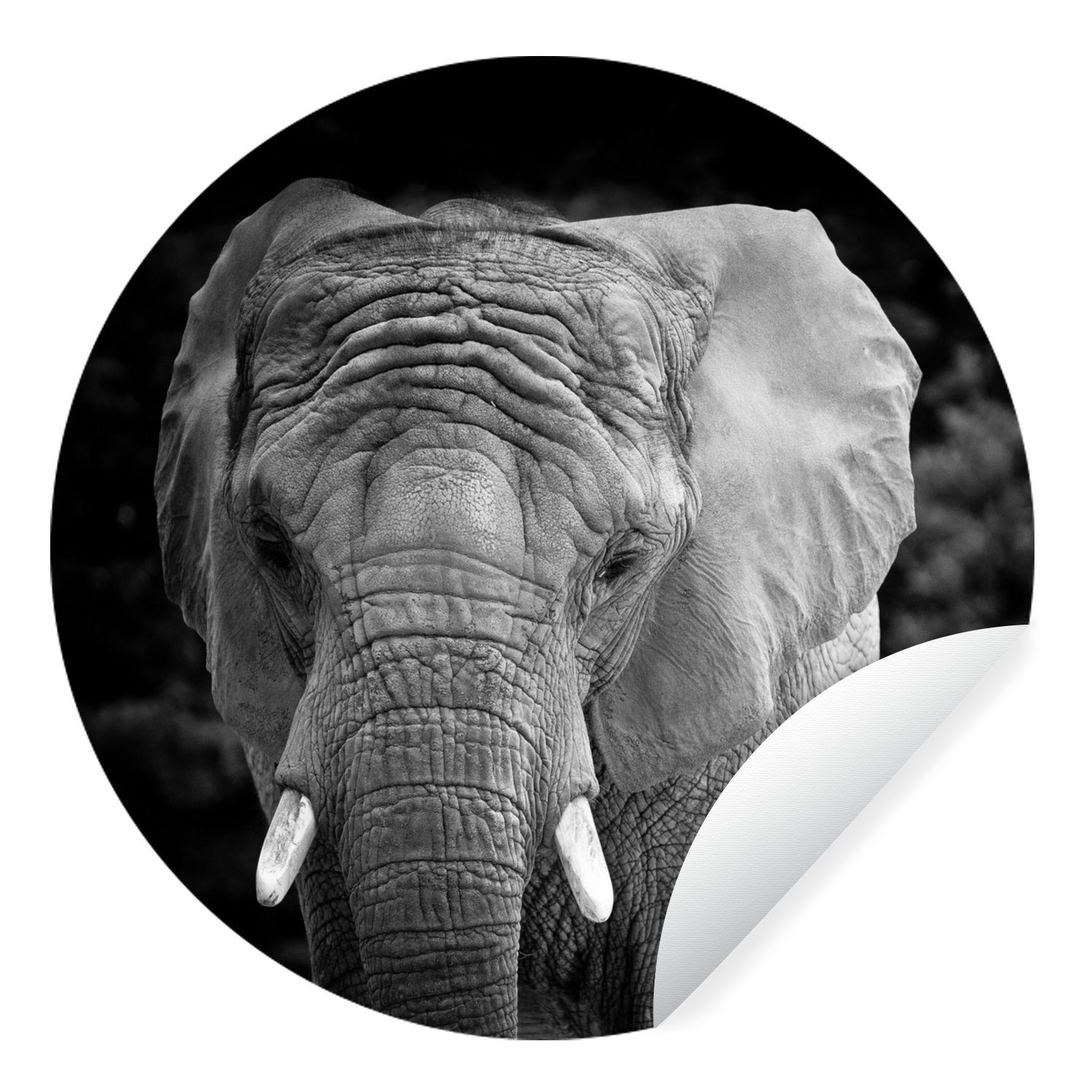 MuchoWow Wandsticker Elefant - Afrika - Schwarz - Weiß (1 St), Tapetenkreis für Kinderzimmer, Tapetenaufkleber, Rund, Wohnzimmer