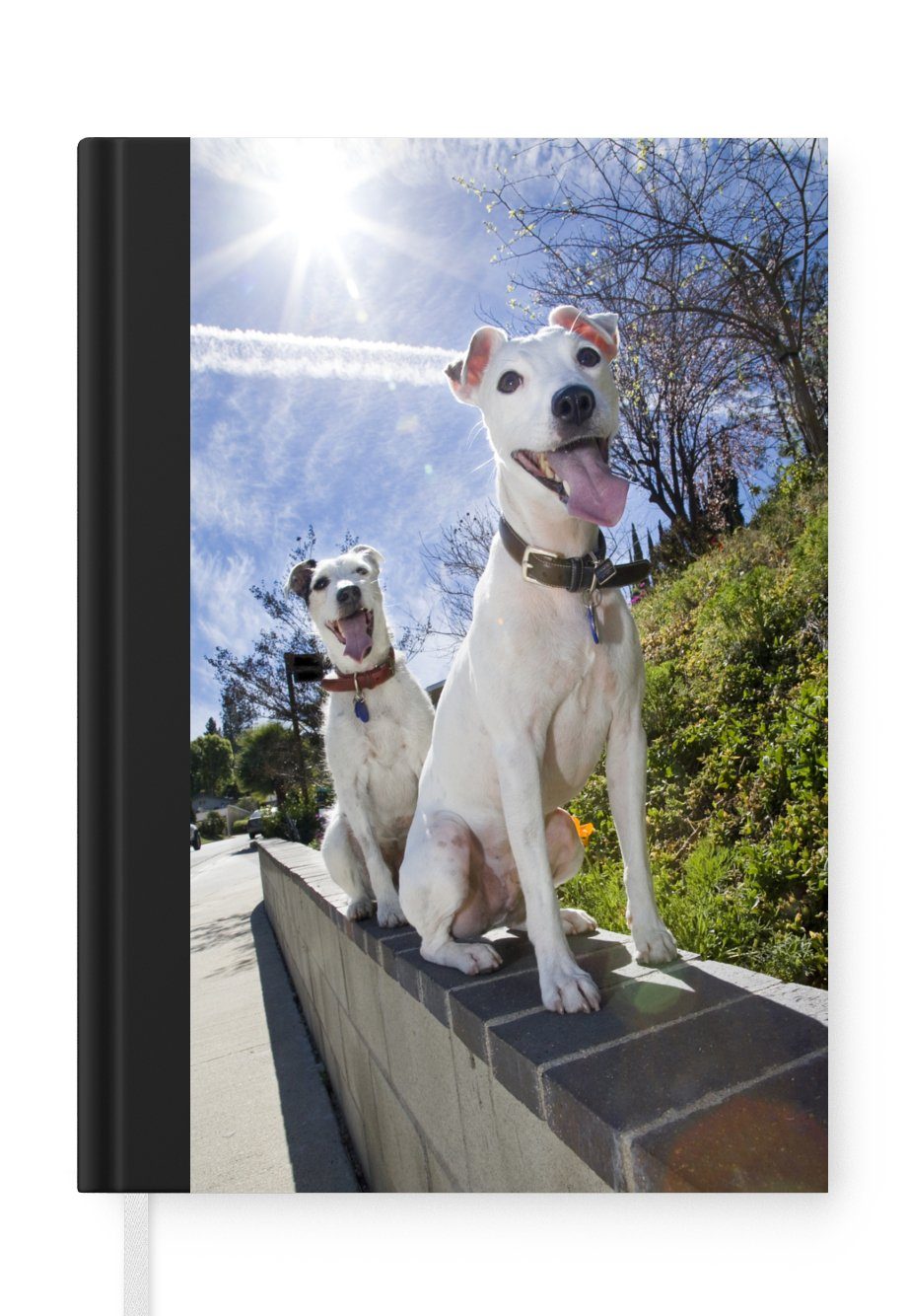 MuchoWow Notizbuch Zwei Jack Russel Hunde an einer Wand, Journal, Merkzettel, Tagebuch, Notizheft, A5, 98 Seiten, Haushaltsbuch