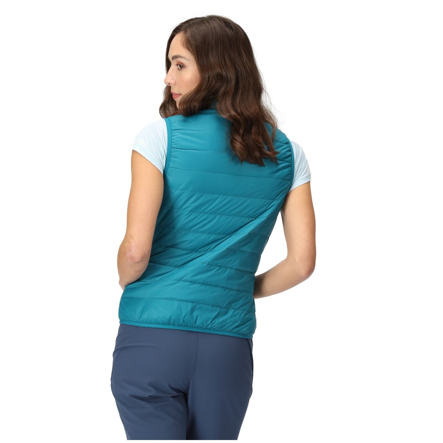Regatta Softshellweste Steppweste Hillpack günstig online kaufen