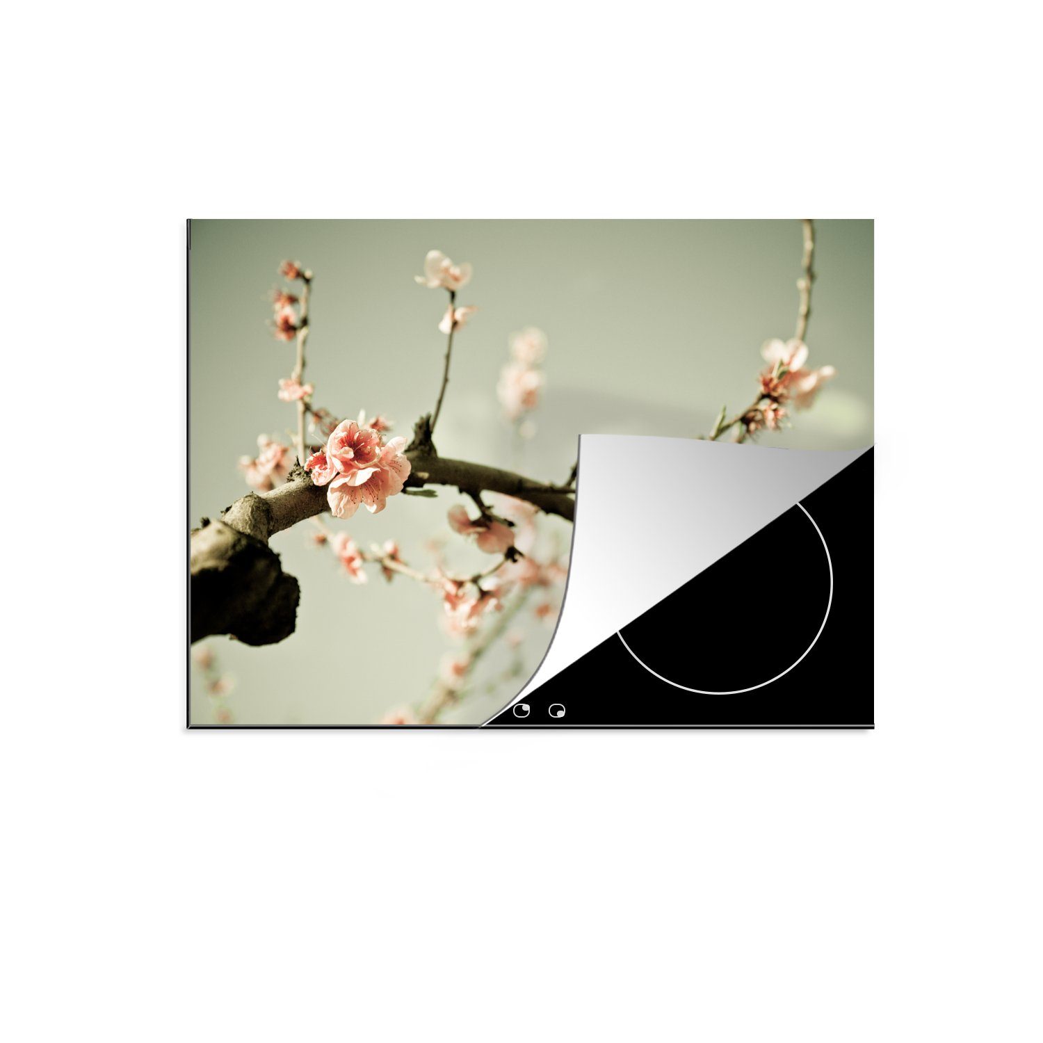 MuchoWow Herdblende-/Abdeckplatte Zweig mit Pfirsichblüte, Vinyl, (1 tlg), 71x52 cm, Induktionskochfeld Schutz für die küche, Ceranfeldabdeckung