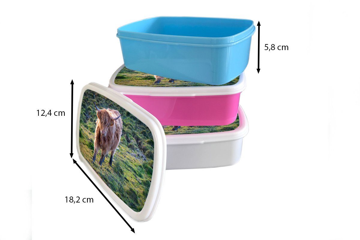 MuchoWow (2-tlg), - Erwachsene, - Kunststoff Lunchbox Highlander Herbst, Schottische Kunststoff, Kinder, Snackbox, rosa Brotbox für Gras Brotdose Mädchen,