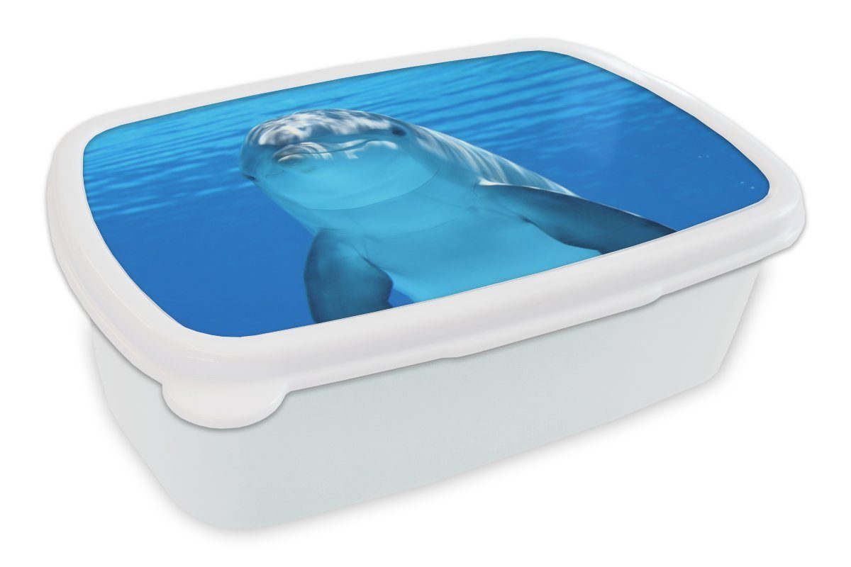 Blau, Mädchen für und weiß Wasser Delfin Lunchbox - Jungs - für und Erwachsene, (2-tlg), Kunststoff, Kinder MuchoWow Brotbox Brotdose,