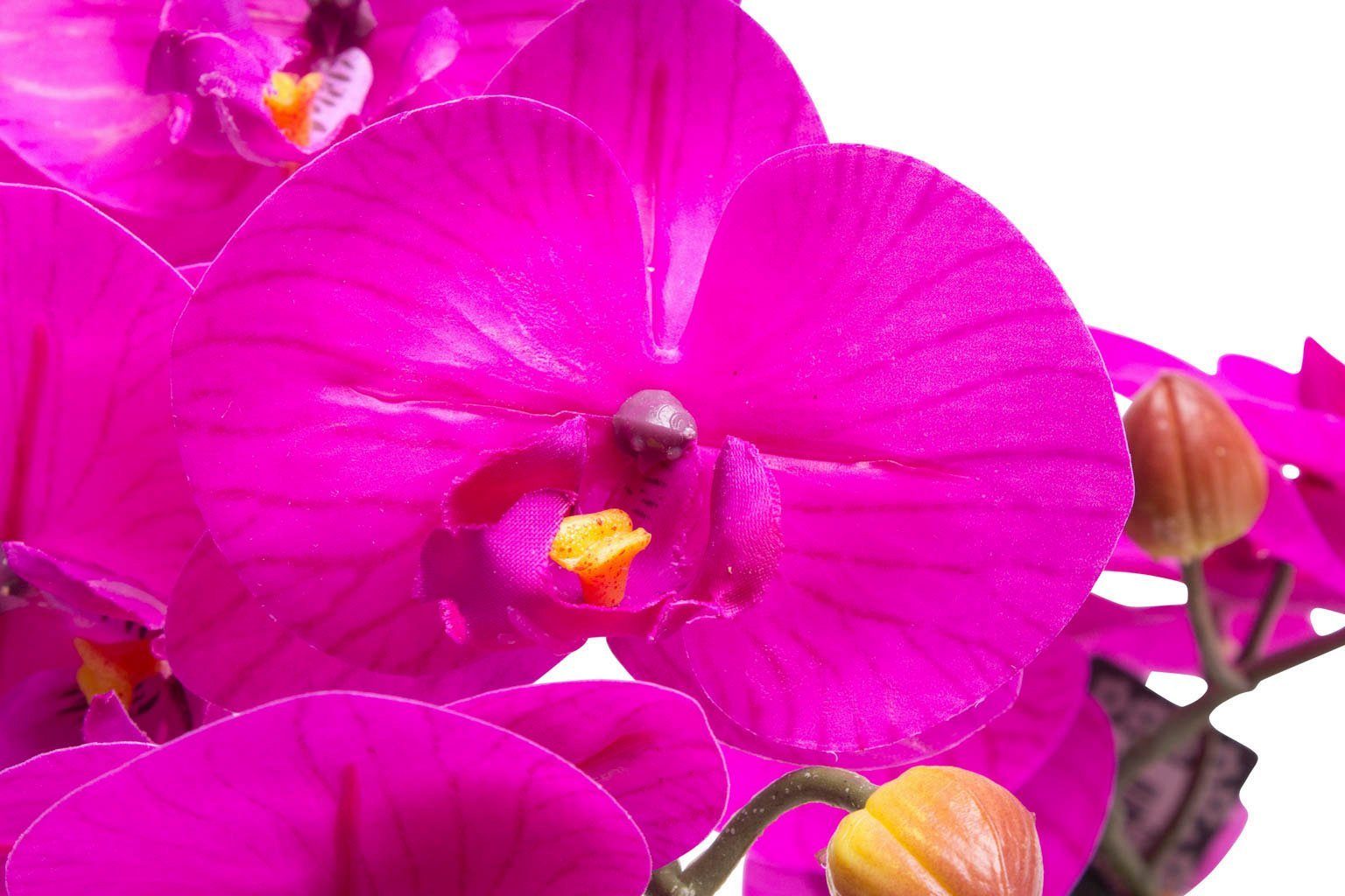 Kunstorchidee Orchidee Bora Orchidee, Botanic-Haus, Höhe 50 cm, Im  dekorativen Topf - ohne zusätzlichen Aufwand