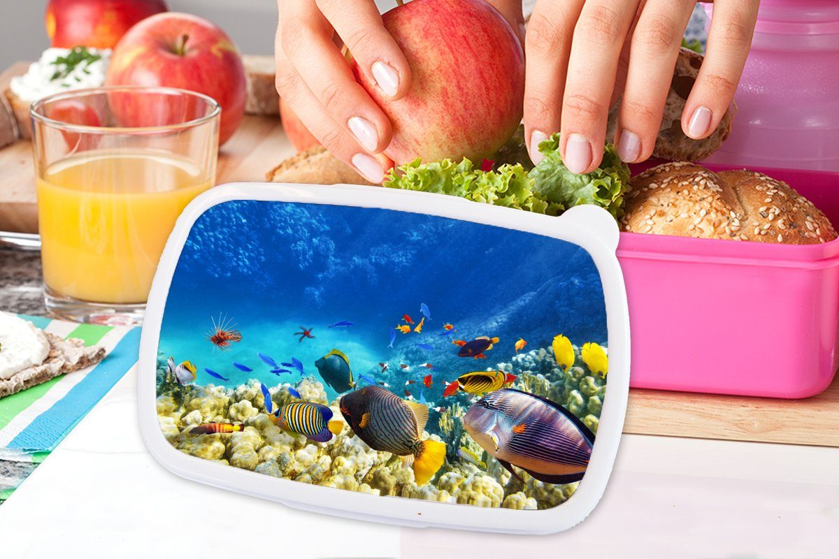 Kunststoff, Fische Mädchen, - - Korallen Unterwasserwelt, Erwachsene, rosa Snackbox, - Kunststoff Brotdose für Kinder, (2-tlg), MuchoWow Lunchbox Brotbox Meer