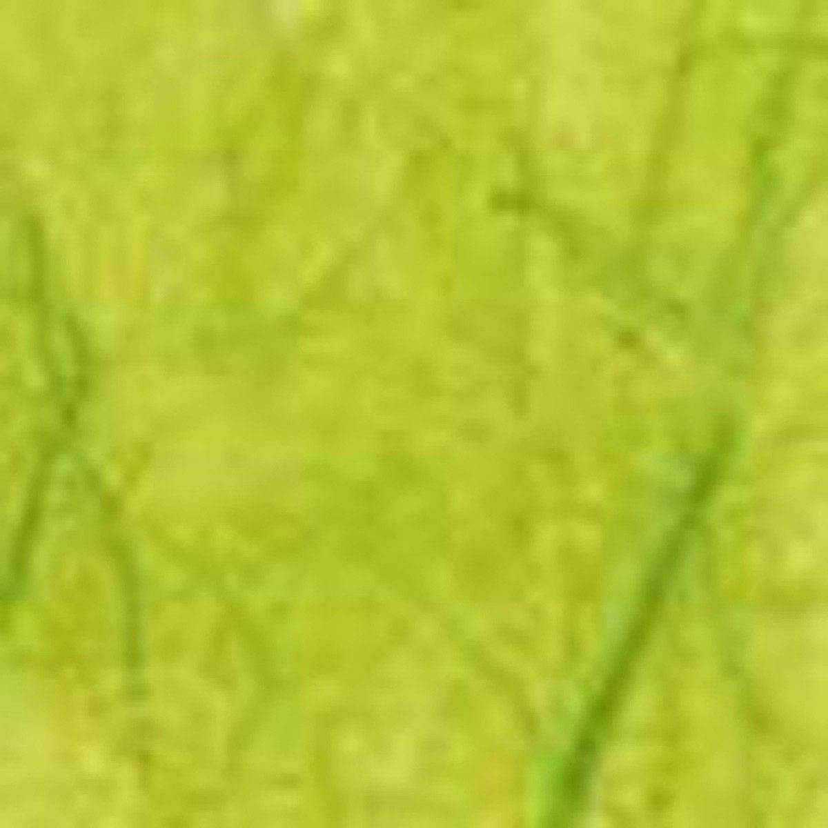 Staufen Geschenkfolie Strohseide Limone 70cmx1,5m