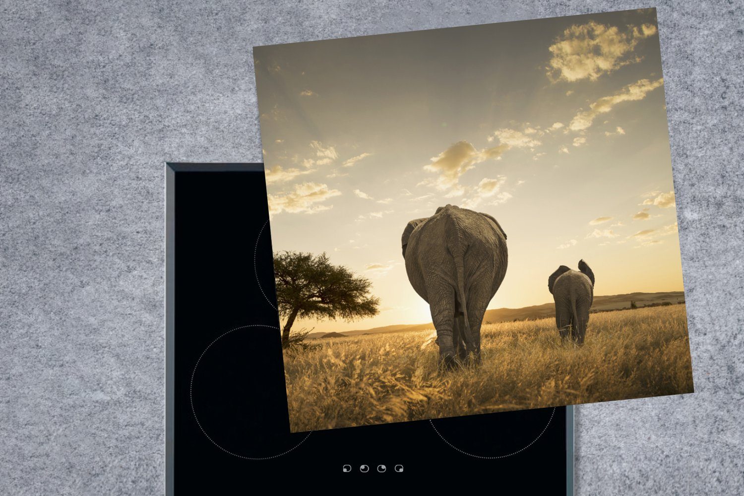 - tlg), Ceranfeldabdeckung, für Safari, küche cm, Vinyl, - Herdblende-/Abdeckplatte 78x78 Elefant MuchoWow (1 Sonne Arbeitsplatte