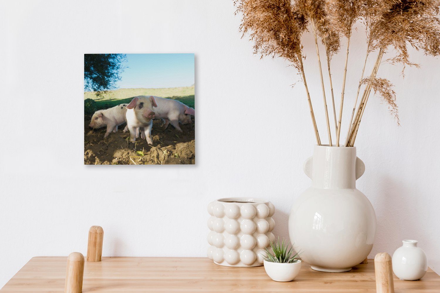 - - Leinwand Schweine Leinwandbild Tiere Schlafzimmer Bilder Landschaft, (1 OneMillionCanvasses® Wohnzimmer St), für