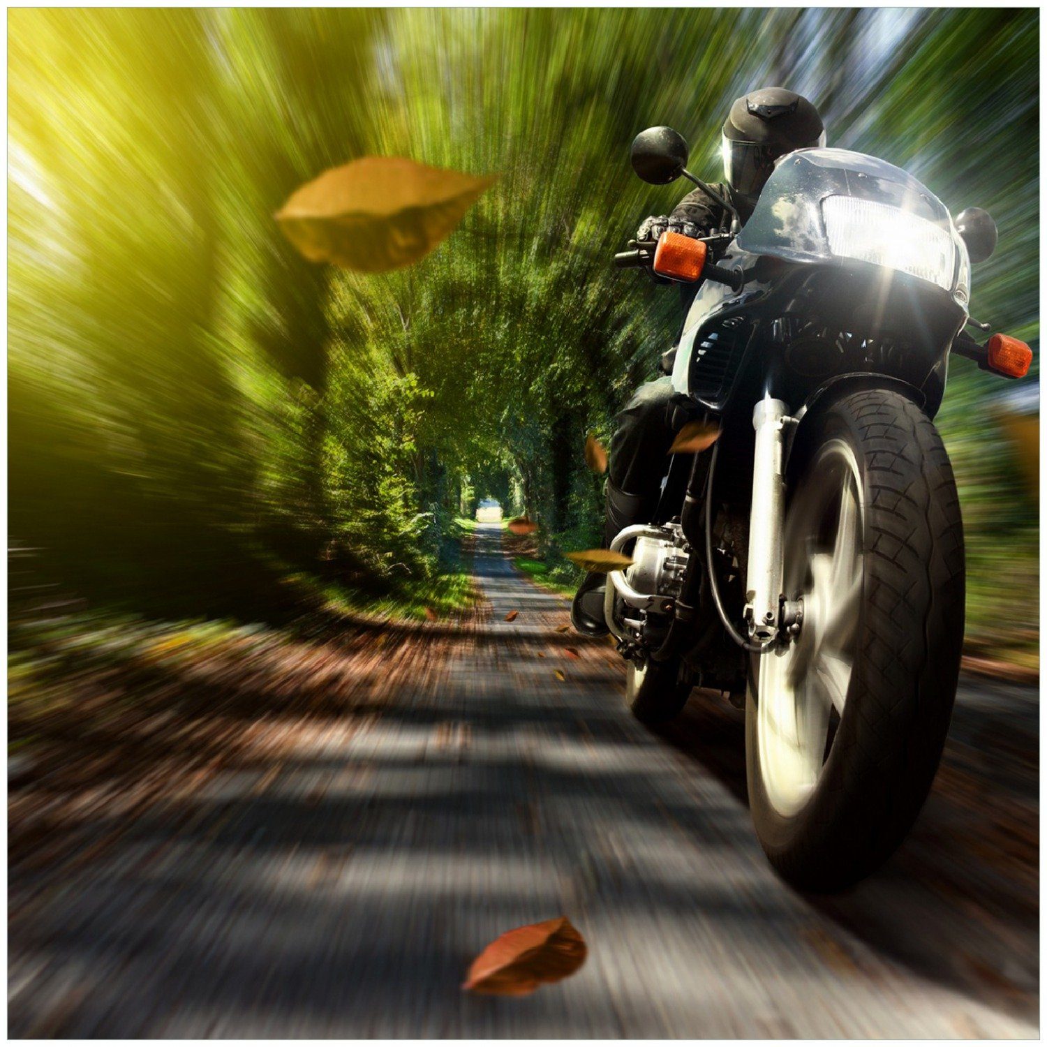 Wallario Memoboard Fahrendes Motorrad im Wald mit Herbstlaub