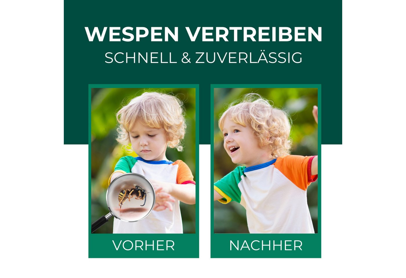 Thumbnail - Silberkraft Wespenspray Silberkraft Wespenspray, Spray zur Wespenabwehr, Anti-Wespen-Mittel, 500 ml, 4-St., hilft gegen ...