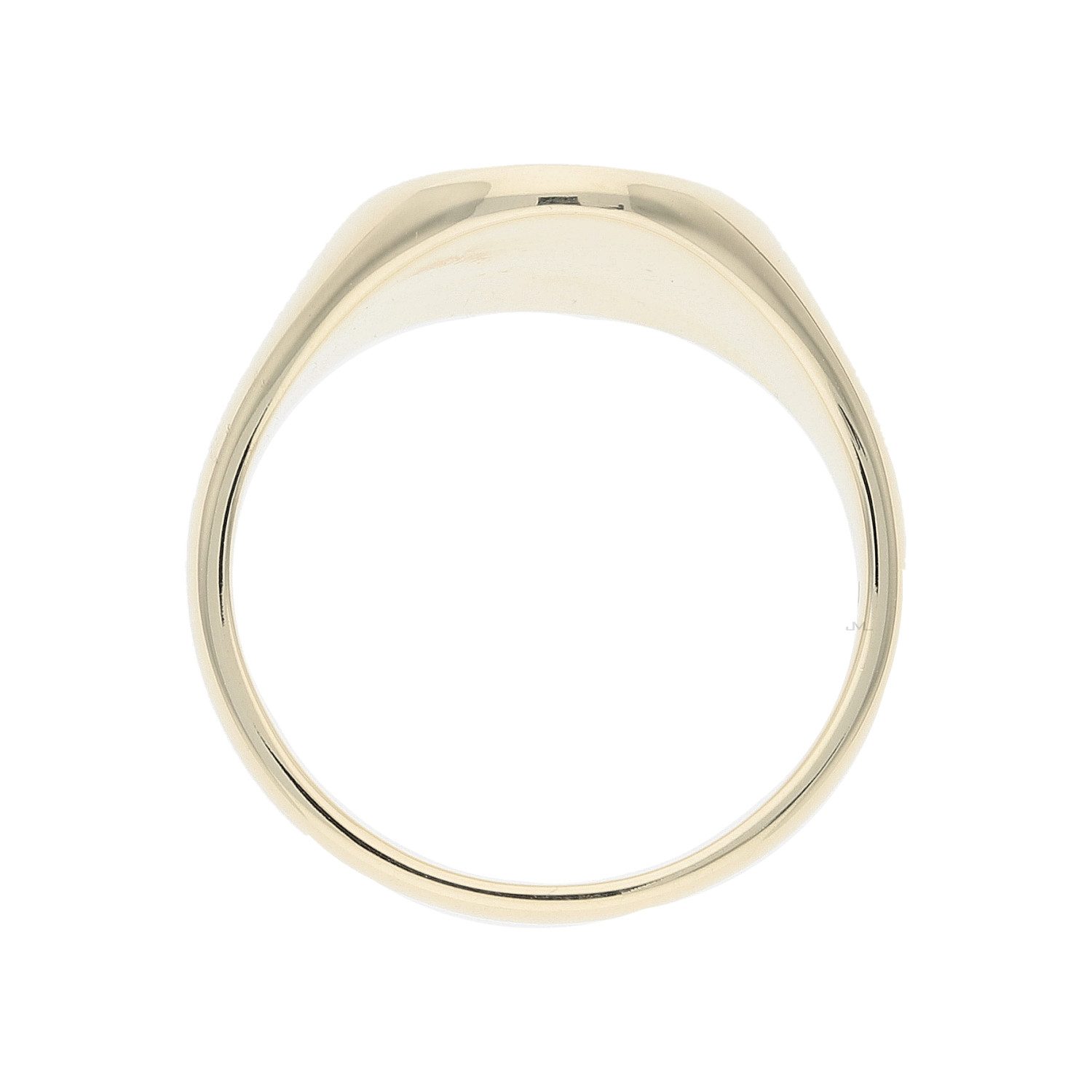 JuwelmaLux Siegelring Siegelring Gold 333 JL10-07-3907 JuwelmaLux