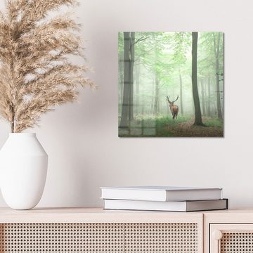 DEQORI Glasbild 'Hirsch zwischen Bäumen', 'Hirsch zwischen Bäumen', Glas Wandbild Bild schwebend modern