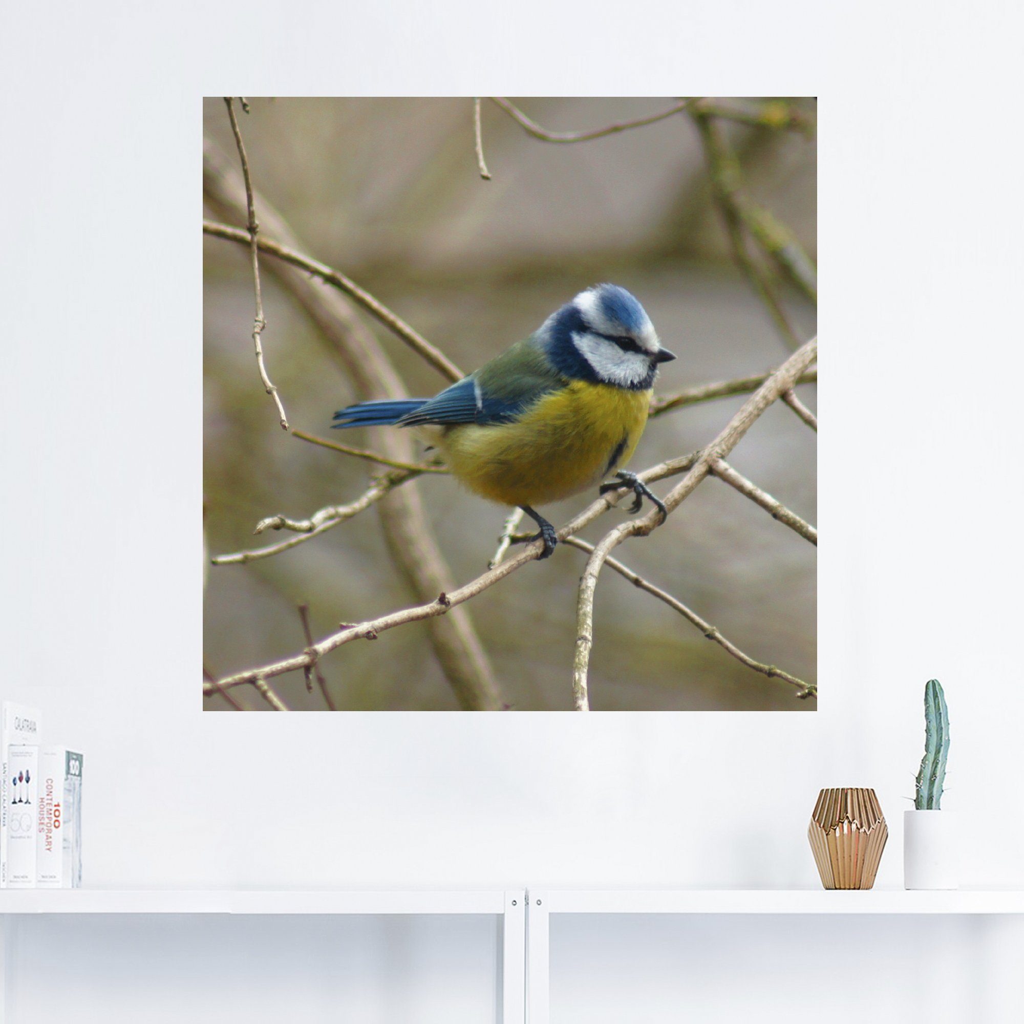 Artland Leinwandbild, als oder Poster versch. Wandaufkleber Vögel Blaumeise, in (1 Wandbild St), Größen