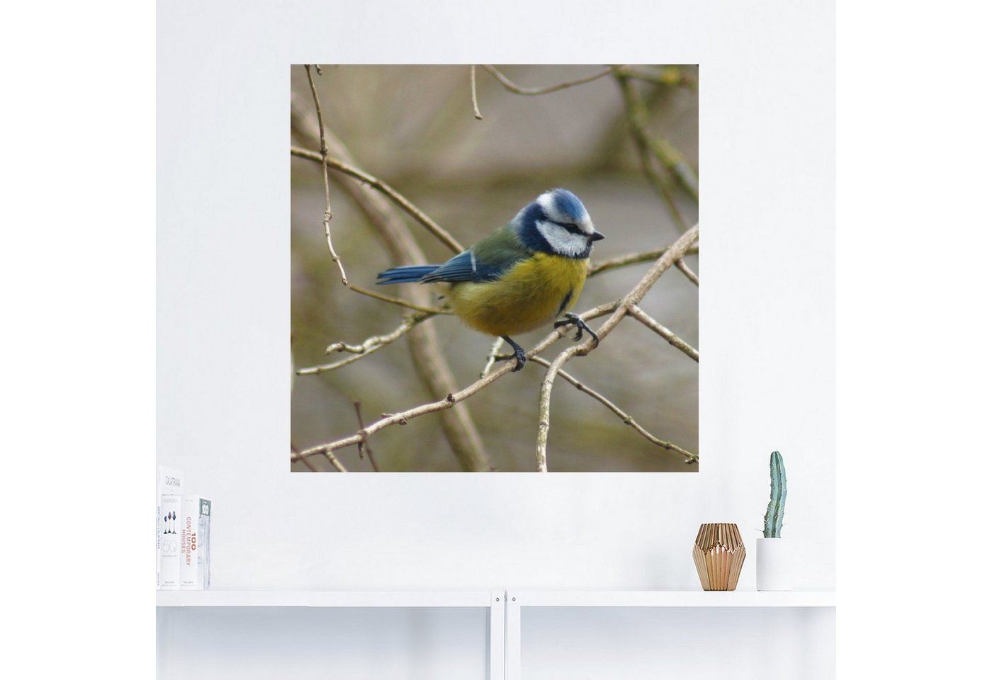 Artland Wandbild »Blaumeise«, Vögel (1 Stück), in vielen Größen & Produktarten -Leinwandbild, Poster, Wandaufkleber / Wandtattoo auch für Badezimmer geeignet-kaufen