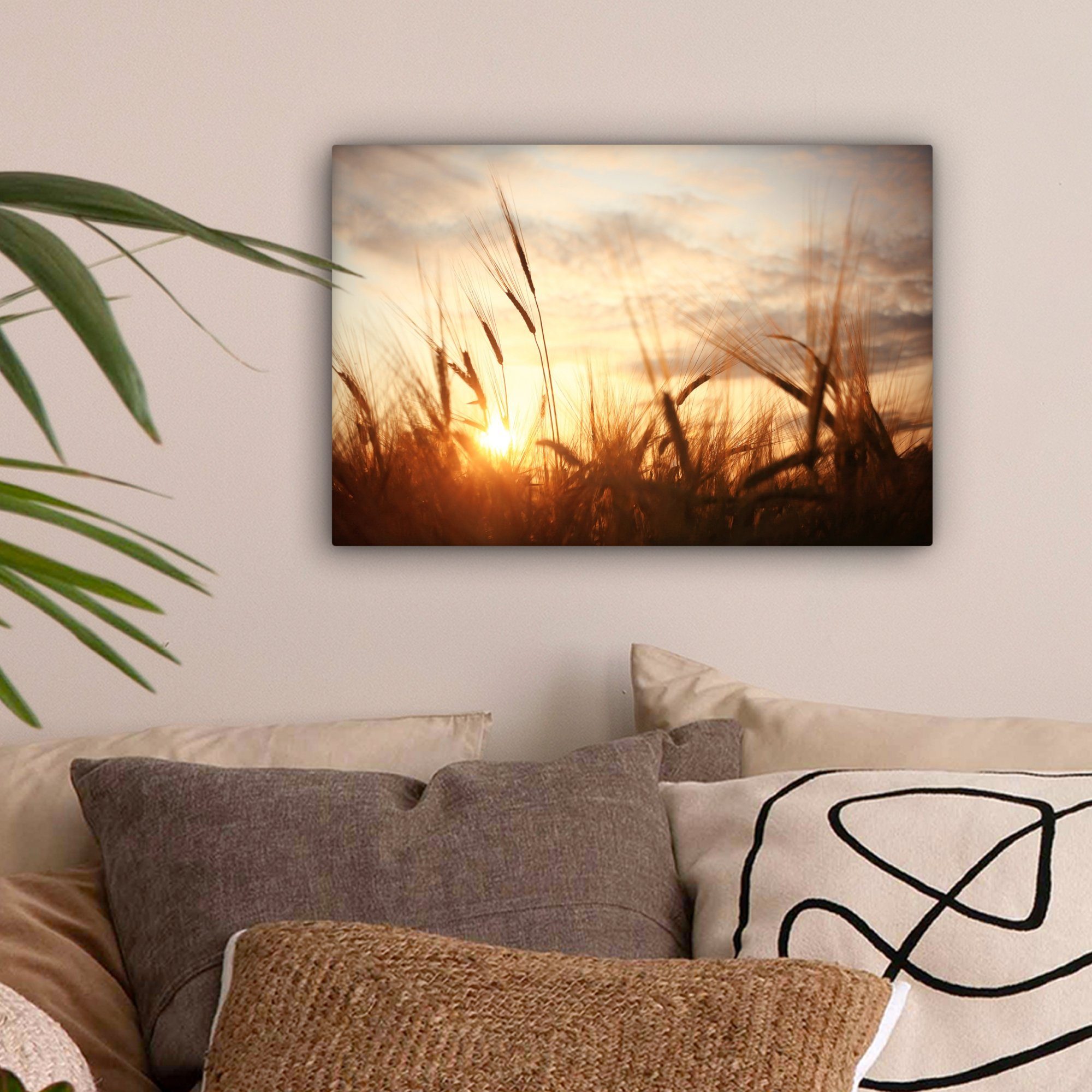 OneMillionCanvasses® Leinwandbild Schilf - Gras - Sonnenuntergang - Natur - günstig online kaufen