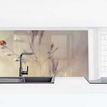 Bilderdepot24 Küchenrückwand beige dekor Gräser Tiere Marienkäfer auf Wiesengras, (1-tlg., Nischenrückwand - für Fliesenspiegel ohne Bohren - matt), Spritzschutz Rückwand Küche Herd - Folie selbstklebend versch. Größen