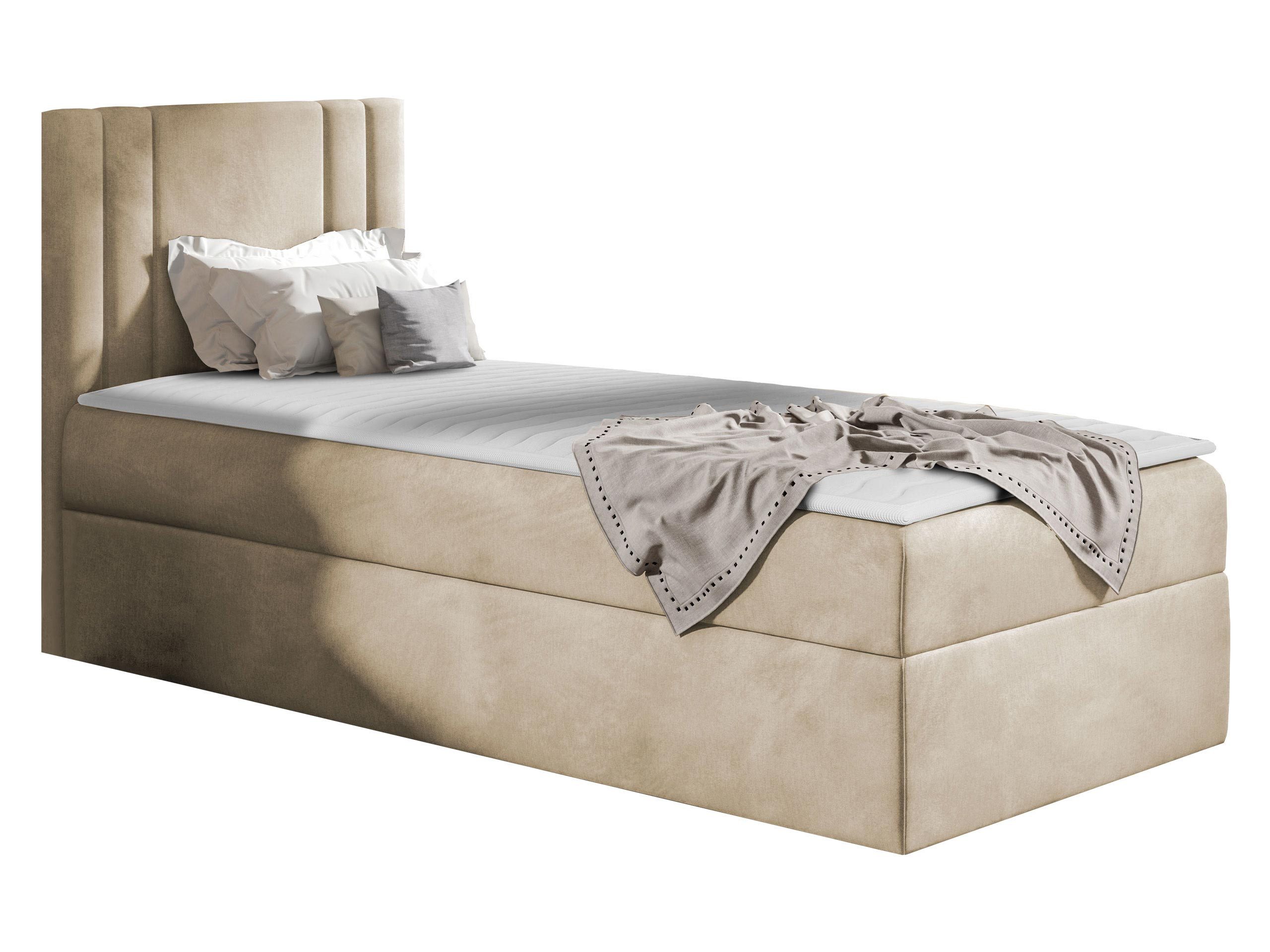 MIRJAN24 Boxspringbett Carmen Mini (mit Hauptmatratze, günstig online kaufen