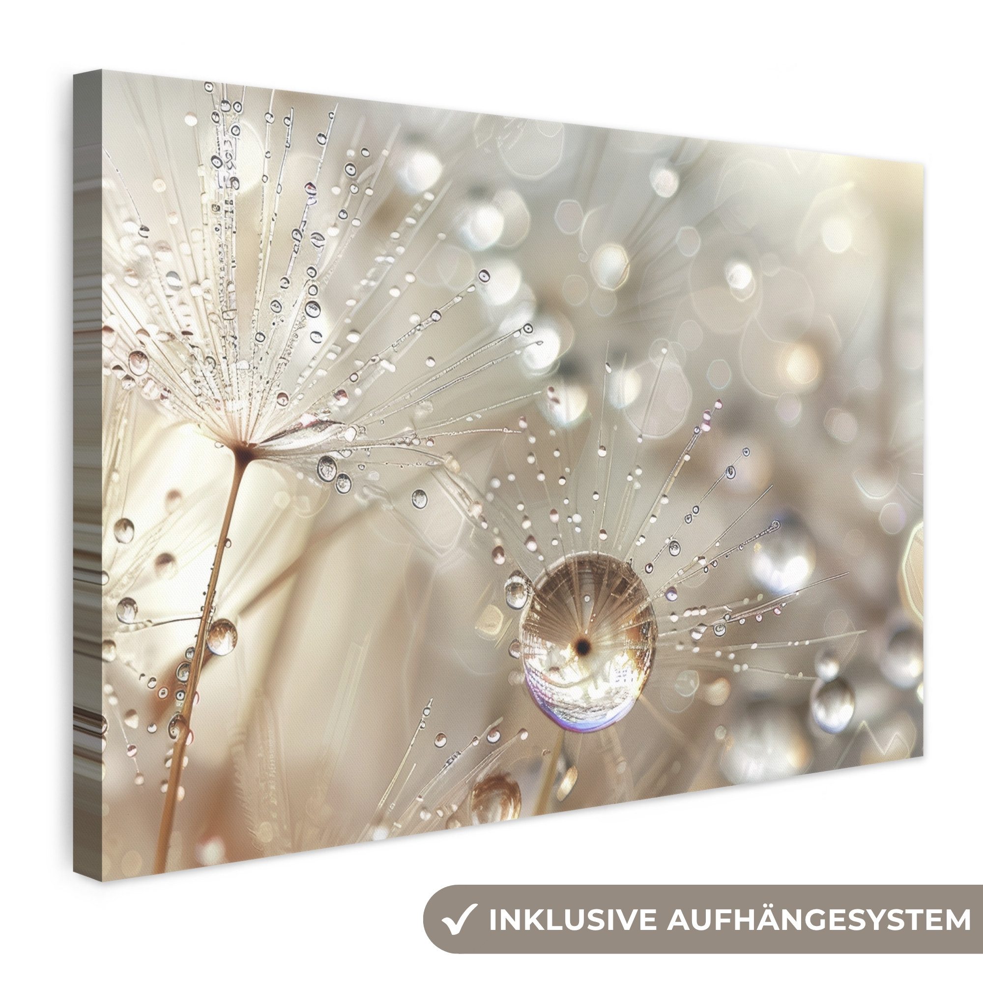 OneMillionCanvasses® Leinwandbild Natur - Blumen - Tropfen - Regen, Fotodruck (1 St), Leinwand Bilder Klein, Wand Dekoration Aesthetic 30x20 cm