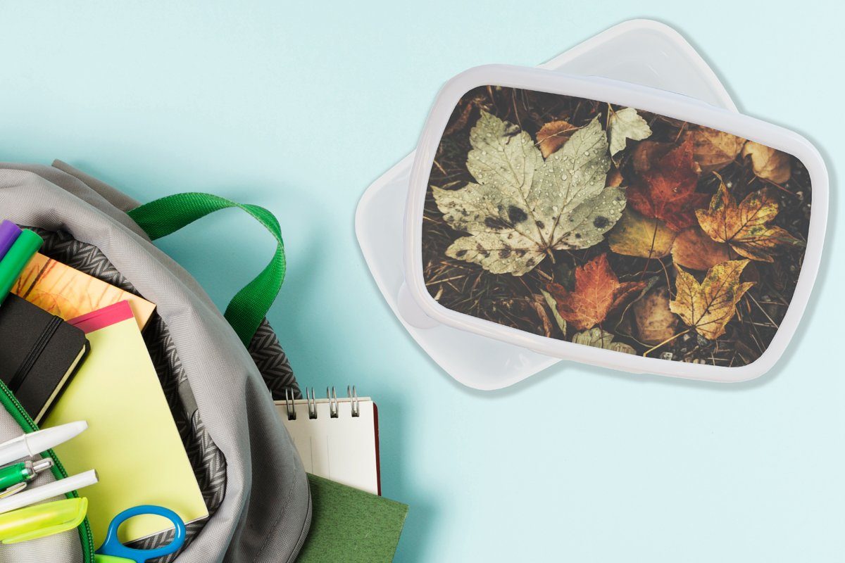 für Kinder Jungs - weiß (2-tlg), Mädchen Jahreszeiten MuchoWow und für Kunststoff, und Brotdose, Herbstblätter Erwachsene, Brotbox Lunchbox - - Natur, Herbst