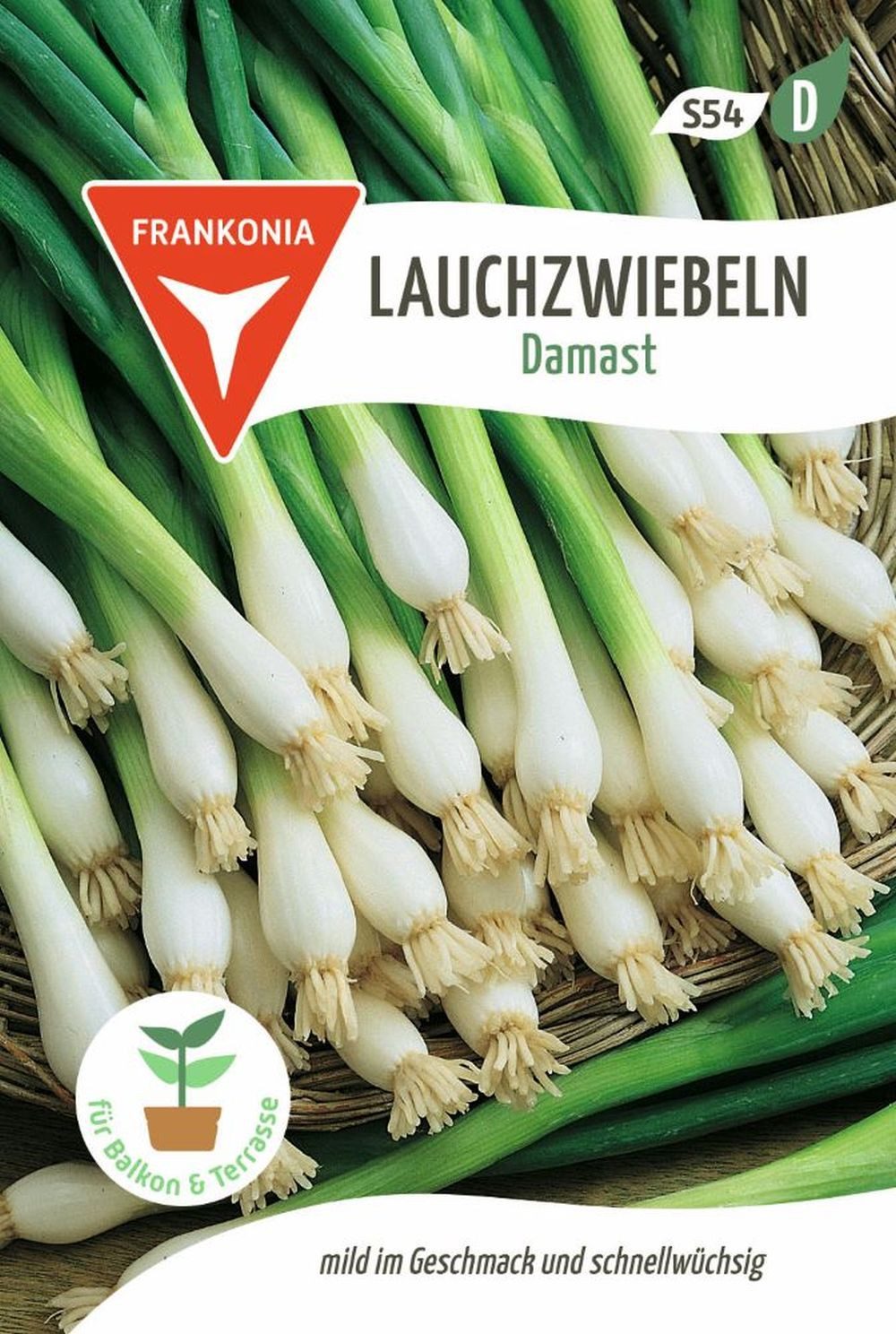 FRANKONIA Gemüsesamen Lauchzwiebel, Damast - Saatgut Samen, Allium fistulosum