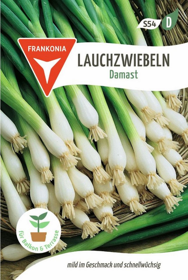 FRANKONIA Gemüsesamen Lauchzwiebel, Damast - Saatgut Samen, Allium fistulosum