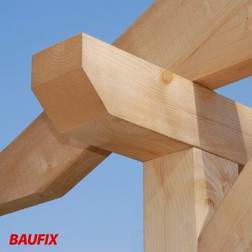 Baufix Anti-Schimmel-Grundierung Holzschutz-Grund, 0,75L reicht für ca. 6.5 m², vorbeugend gegen Bläuebefall & holzzerstörende Pilze