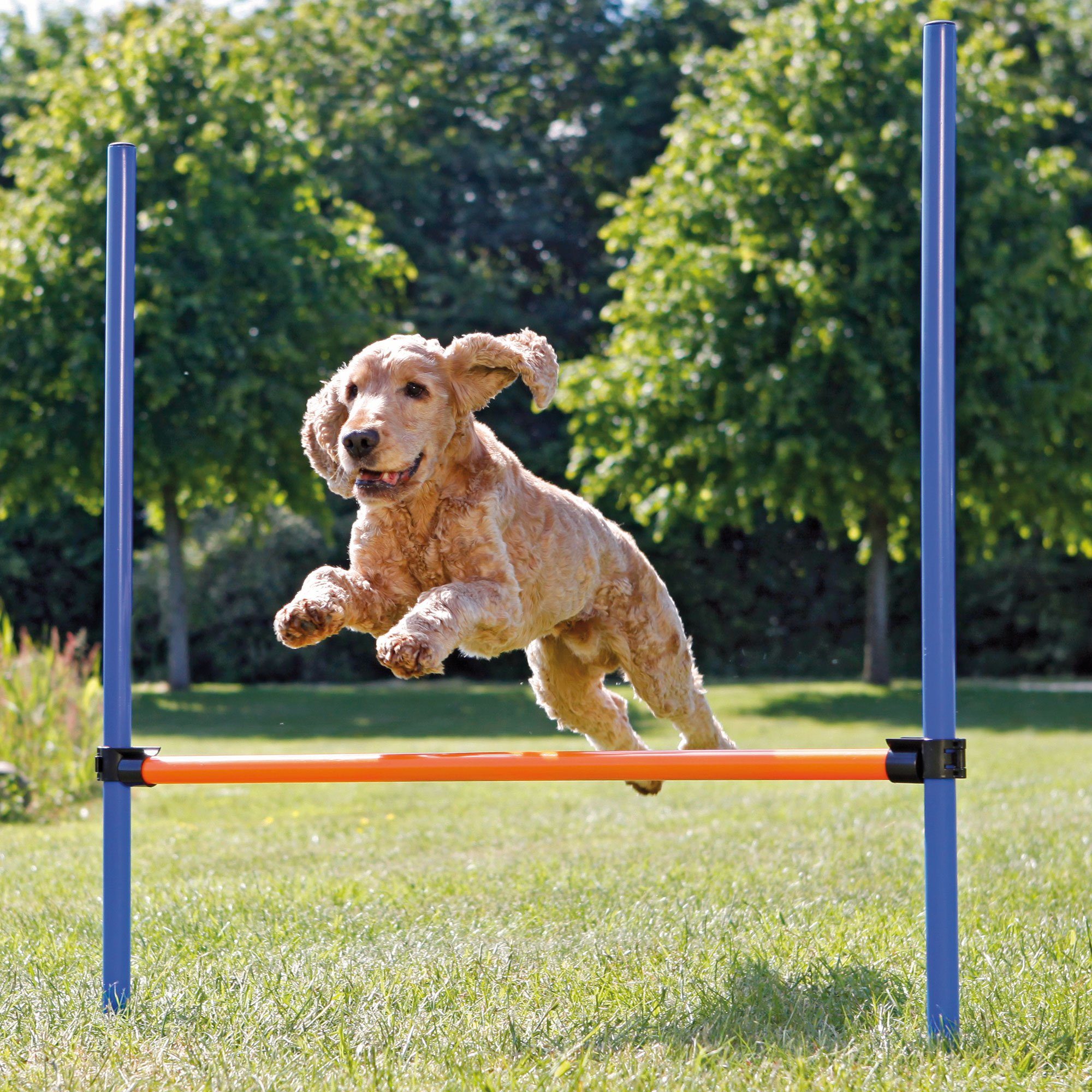 TRIXIE Agility-Hürde Agility Hürden Set, Kunststoff, Set (9-tlg) mit Transporttasche, Anleitung und Trainingstipps.