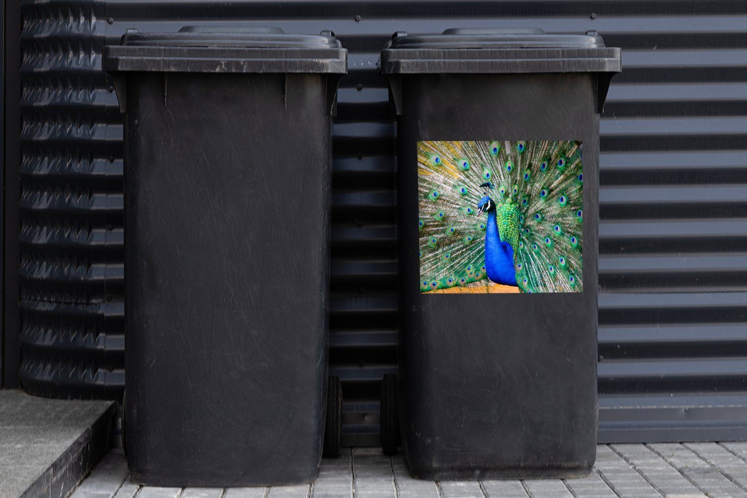 Mülltonne, Sticker, - Mülleimer-aufkleber, Container, Wandsticker Federn MuchoWow (1 - Abfalbehälter St), Pfau Blau