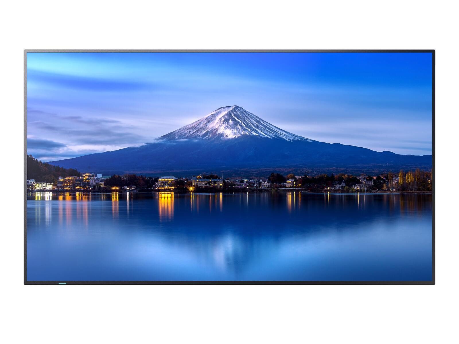 NEC MultiSync P556 LED-Monitor (3840 x 2160, 8 ms Reaktionszeit, IPS Panel)