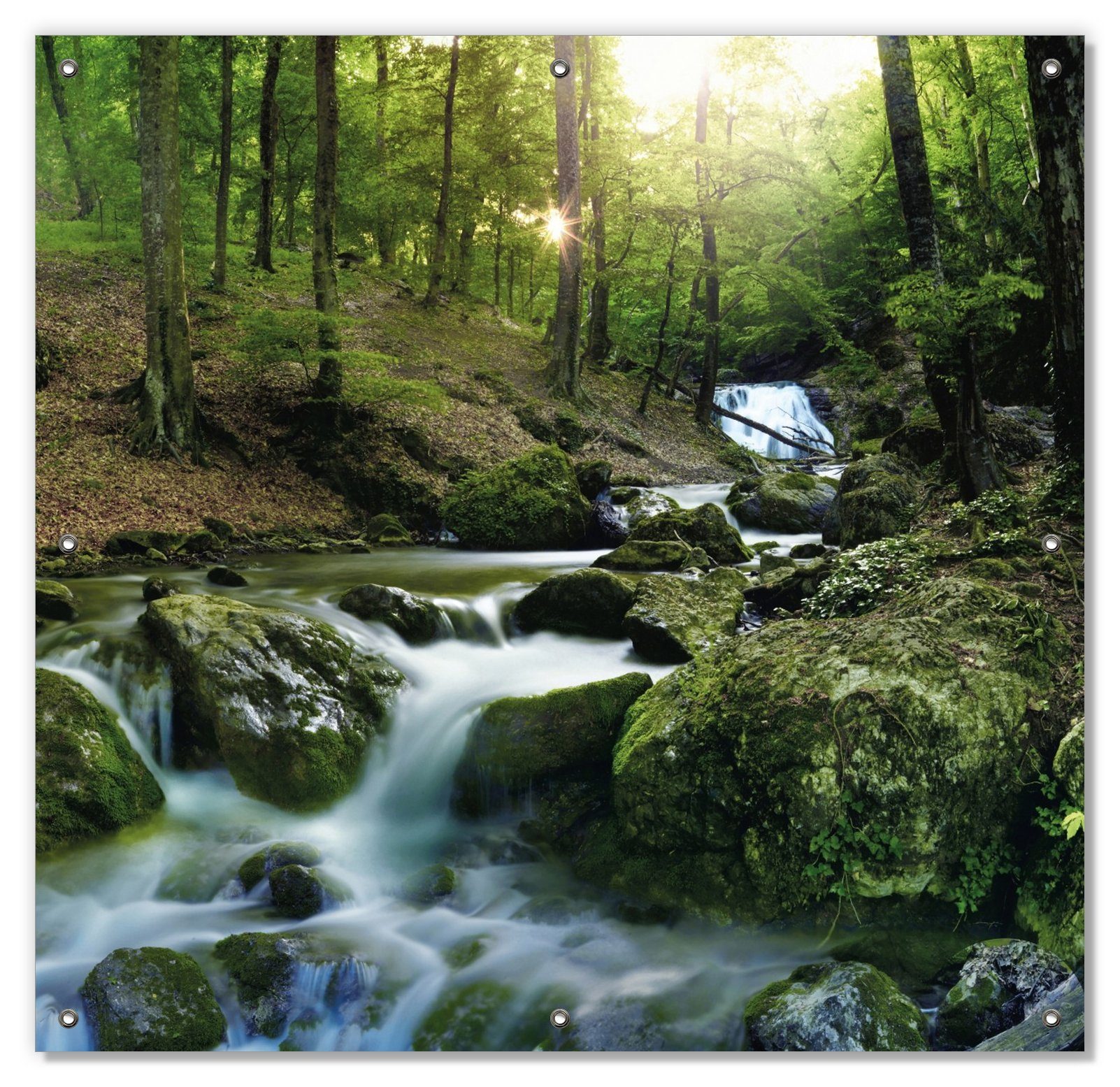 Sonnenschutz Fließender Bach im Wald bei Sonnenuntergang, Wallario, blickdicht, mit Saugnäpfen, wiederablösbar und wiederverwendbar