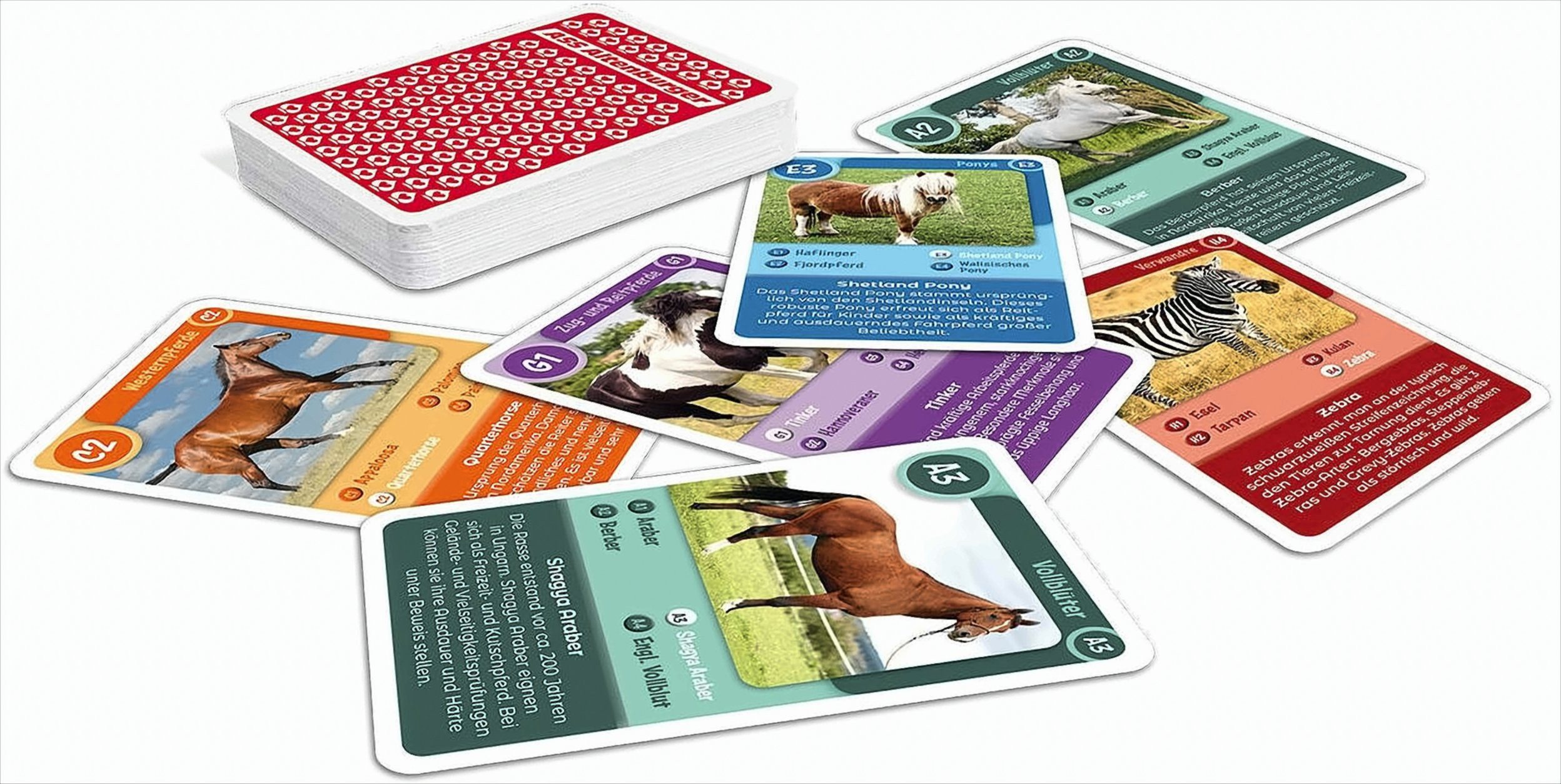 Spiel Quartett Pferde