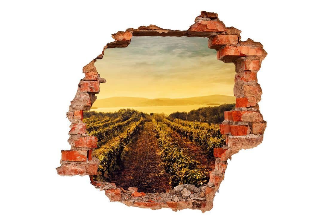 K&L Wall Art Wandtattoo 3D Wandtattoo Küche Weinreben im Sonnenuntergang Toskana Urlaub, Mauerdurchbruch Wandbild selbstklebend
