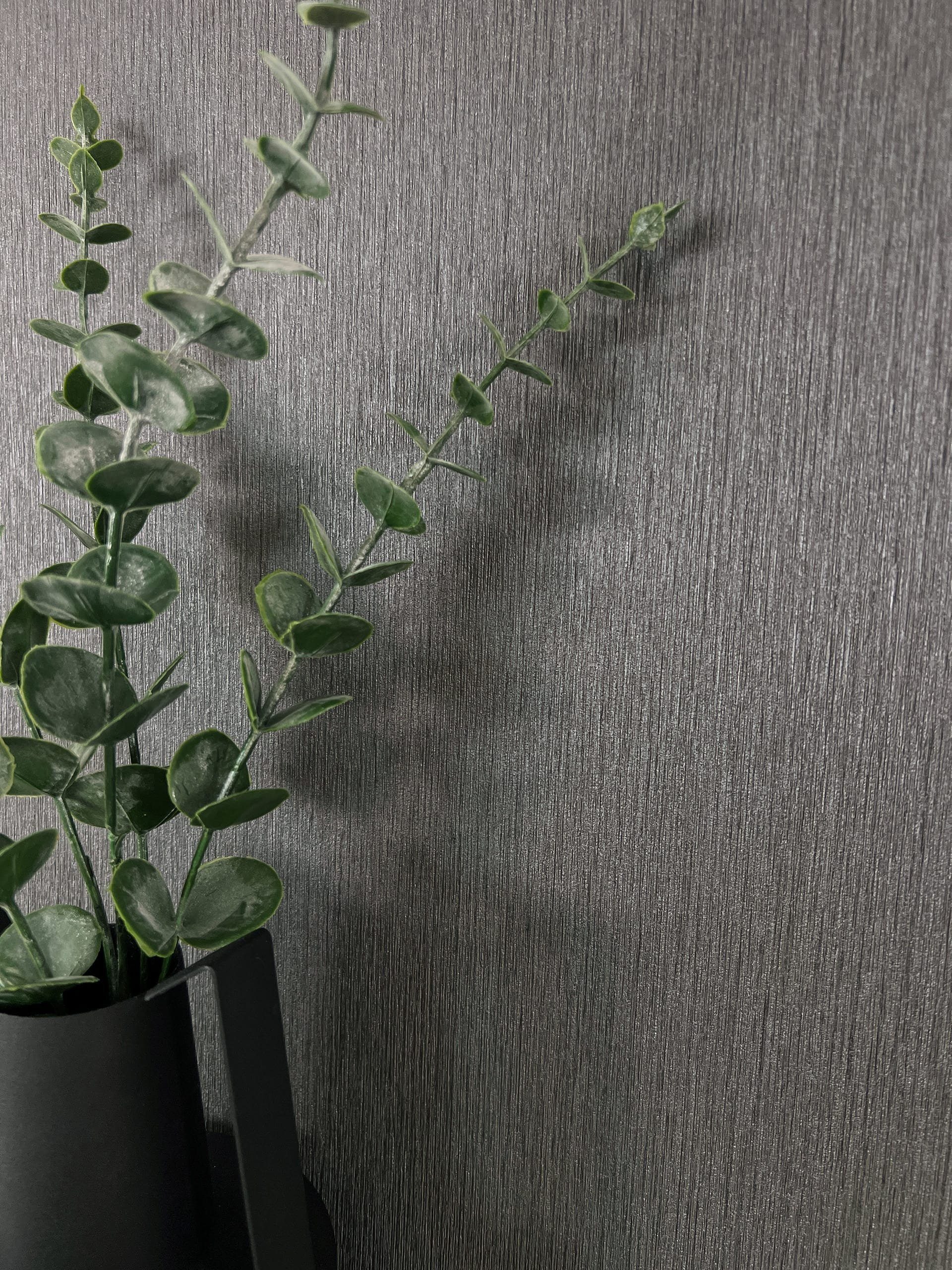 Newroom Vliestapete, Anthrazit Tapete Modern Unifarbe günstig online kaufen