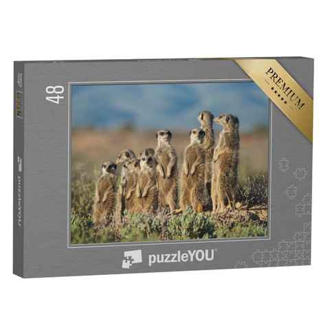puzzleYOU Puzzle Erdmännchen-Familie in Südafrika, 48 Puzzleteile, puzzleYOU-Kollektionen Erdmännchen, Tiere in Savanne & Wüste