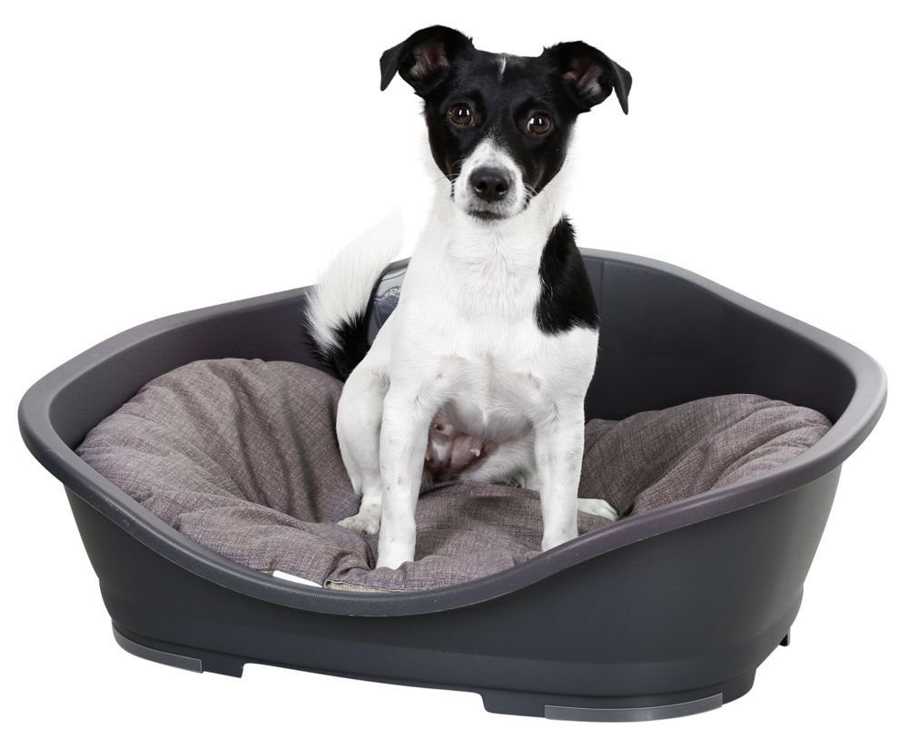 Kerbl Tierkissen Kerbl Hunde Liegekissen Loneta günstig online kaufen