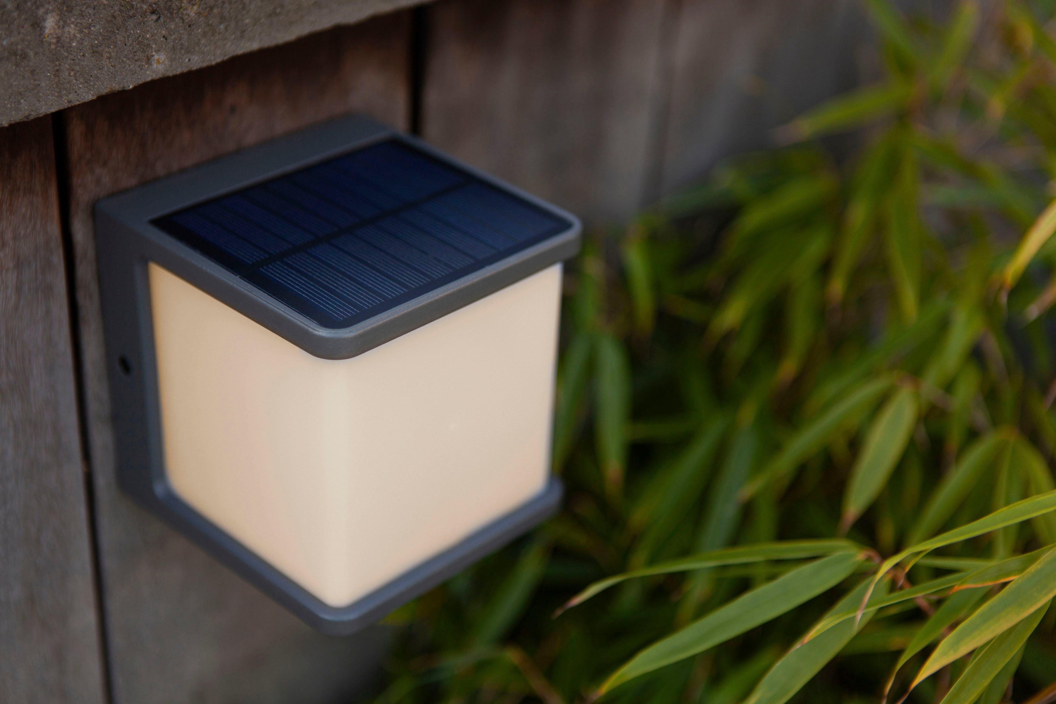 LUTEC LED Solarleuchte DOBLO, LED fest integriert, der integrierte  Bewegungsmelder und Dimmschalter schont den