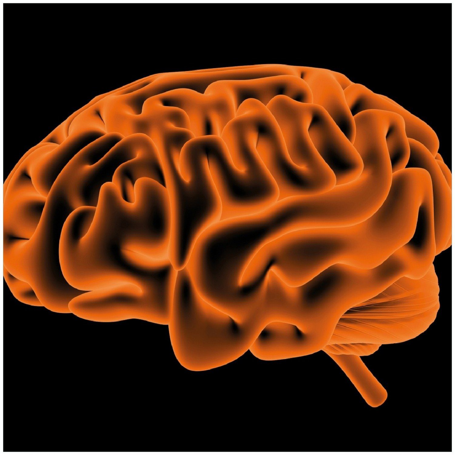 Wallario Memoboard Menschliches Gehirn in leuchtend orangener Farbe
