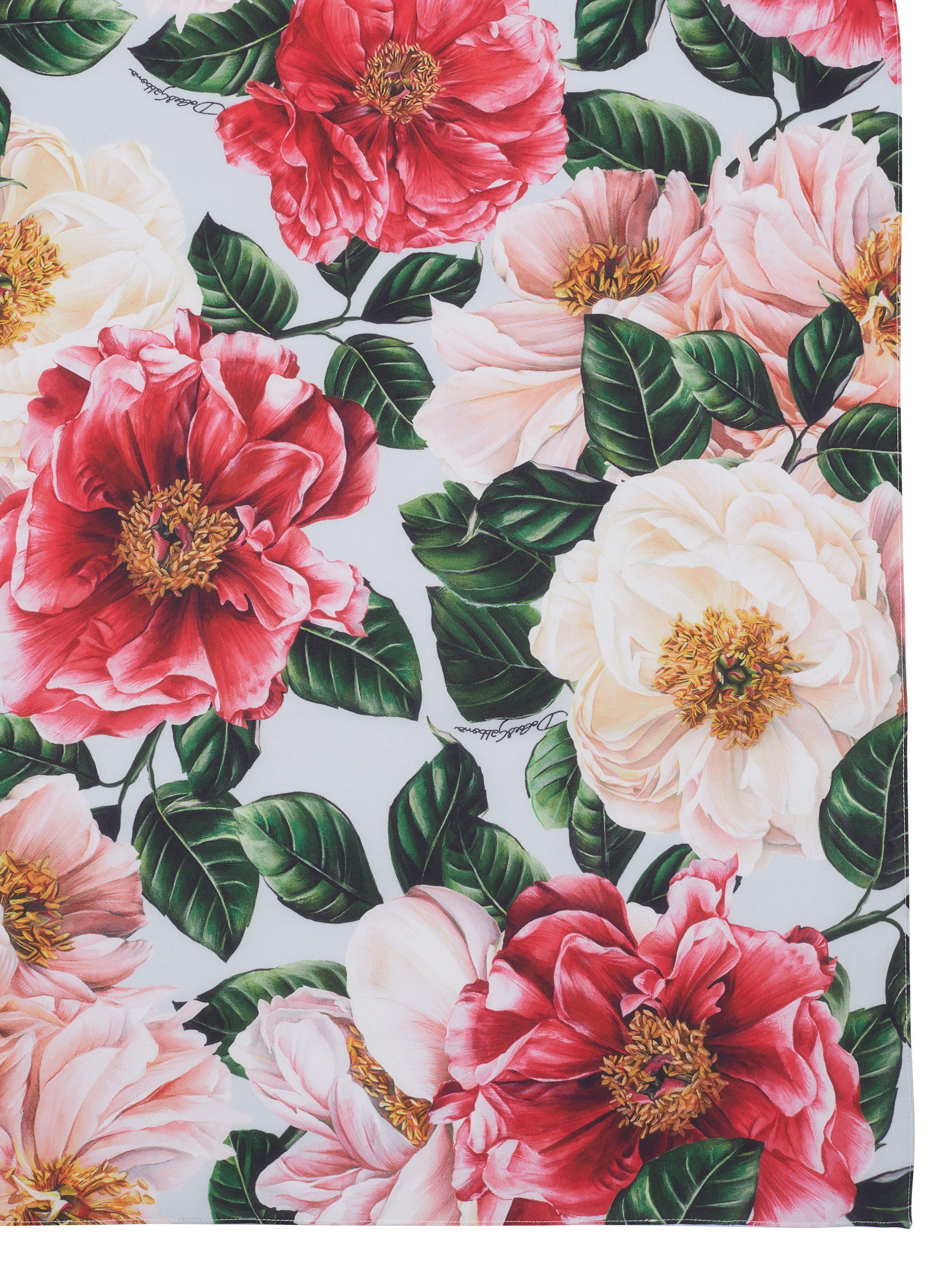 DOLCE & GABBANA Schal