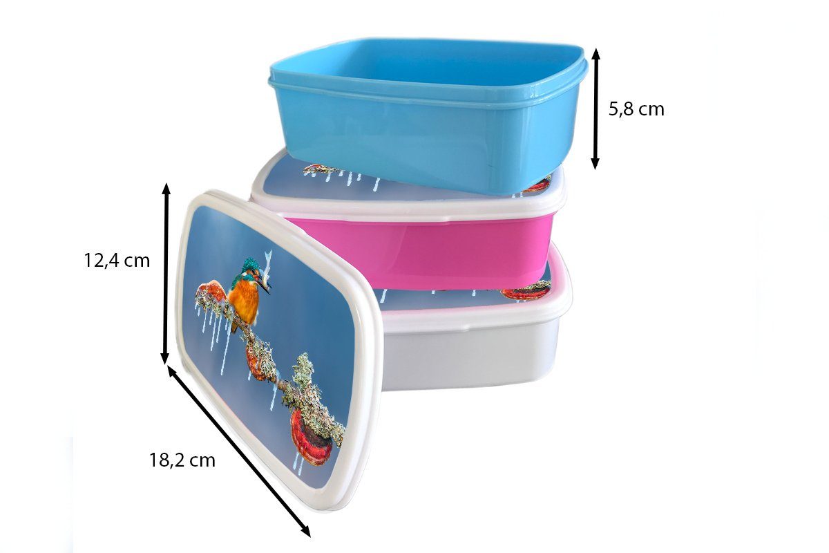 Brotdose, Brotbox Jungs MuchoWow - - für weiß (2-tlg), für Eisvogel und Fisch, Lunchbox Erwachsene, Kinder Mädchen Zweig und Kunststoff,